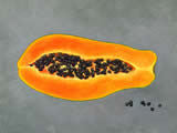 Orange Papaya -  oil on paper - by Marlies Ihmels-Herget