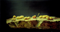 Peanuts - oil on panel - 2001 - by Marlies Ihmels